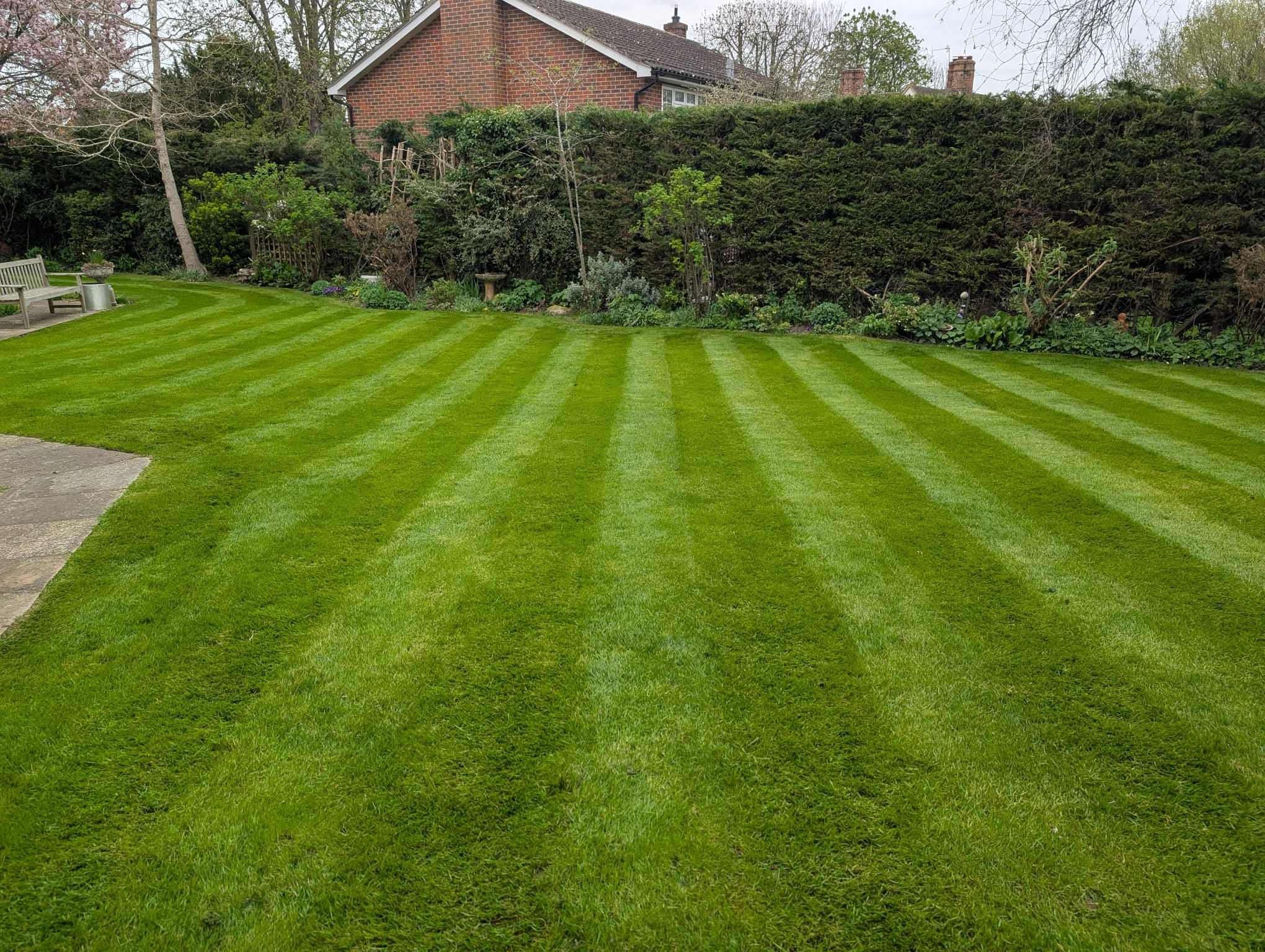 Routine Grass Cutting